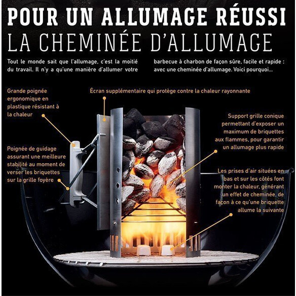 Kit cheminée d'allumage Weber + briquettes de 2 kg + 6 cubes