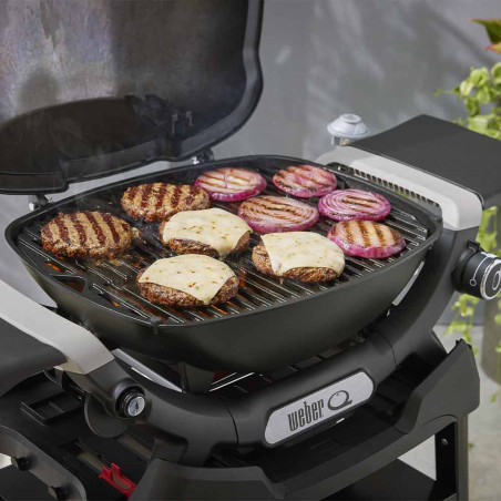 Surface de cuisson en fonte émaillée du barbecue gaz Q 1200 N noir sur stand Weber