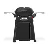 Barbecue gaz 2800 N + noir sur chariot Weber