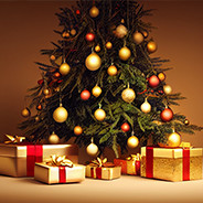 Découvrez nos idées de cadeaux de Noël spécial Jardin et Barbecue - Blog de  Raviday
