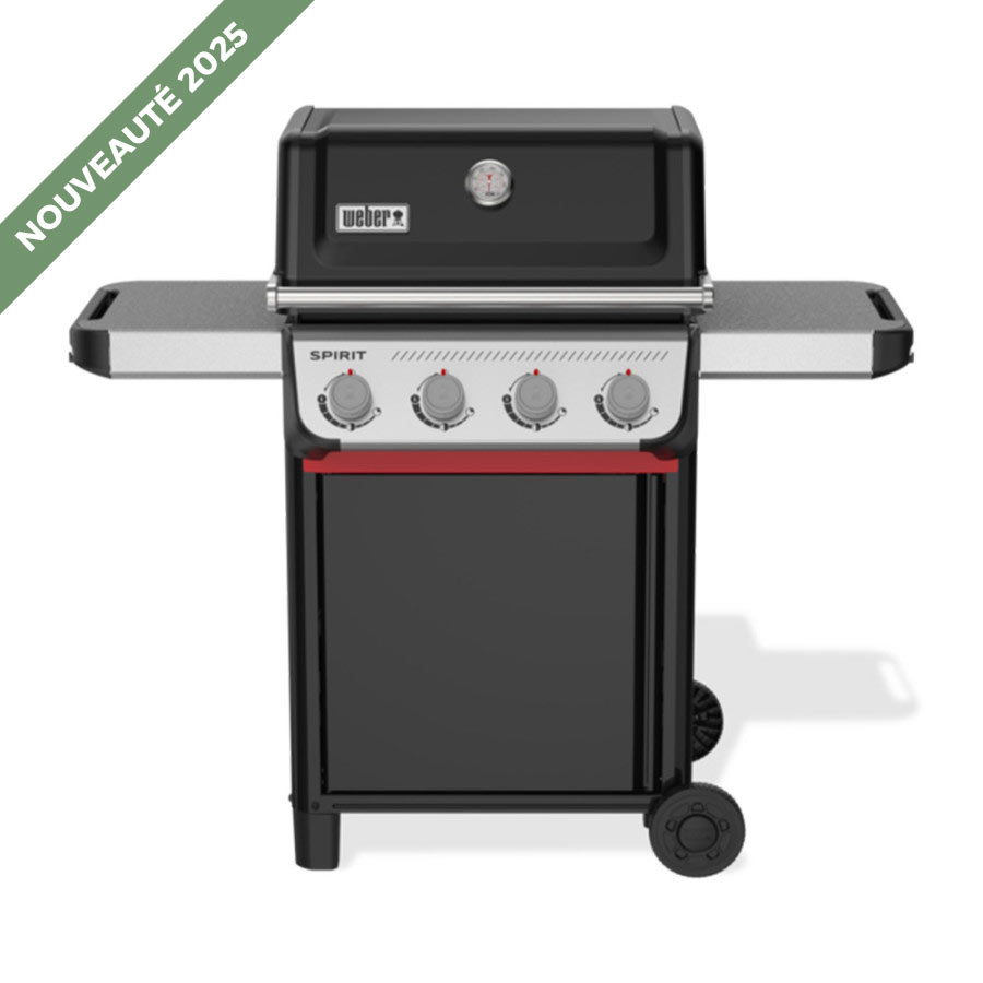 Barbecue Spirit Good E410