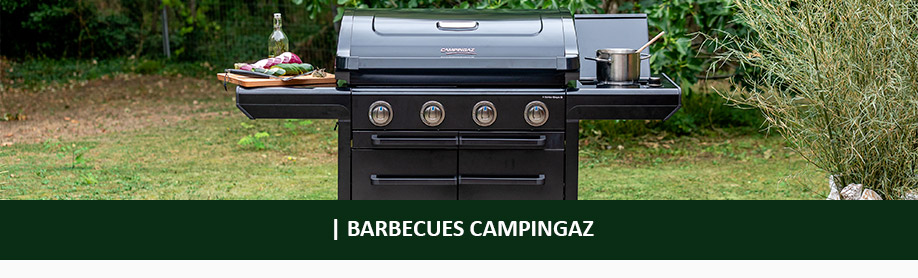 Barbecue gaz Campingaz XPERT 100 LS Plus avec four, grill et