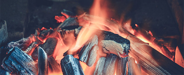 TOP 3 : Meilleures Briquettes Charbon de Bois pour BBQ 2022 