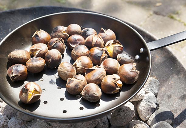 Poêle à châtaignes Esschert pour barbecue et brasero ambiance