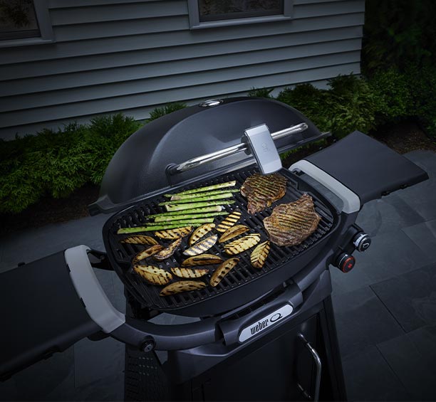 Lampe Grill'n Go pour barbecue gaz Weber