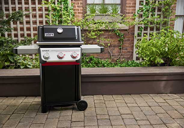 Weber Spirit E-325 ambiance