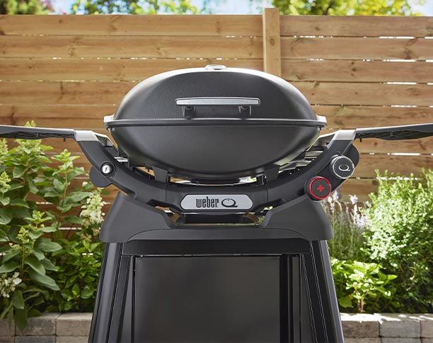 Zoom sur le barbecue gaz Q 2800 N + sur chariot noir